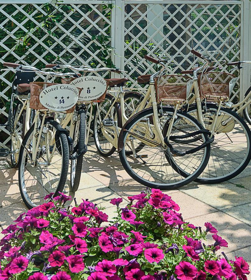 Hotel Coluccini Marina di Pietrasanta Eksteriør bilde
