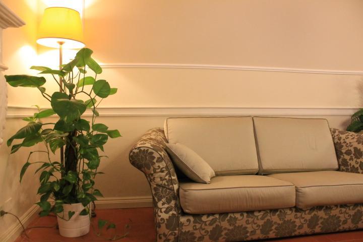 Hotel Coluccini Marina di Pietrasanta Eksteriør bilde